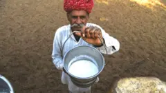 दूध