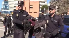Man on trial in Madrid, Spain, for 'killing and eating his mother'