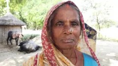 पार्वती देवी