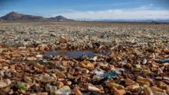 إعادة تدوير البلاستيك: ما مدى فعاليته؟