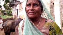 बिहार चुनाव