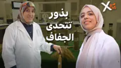 صورة من تقرير لبي بي سي اكسترا