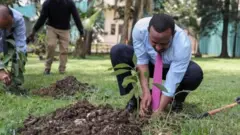 Itoophiyaan Adooleessa 29 biqiltuu 350 dhaabde