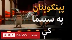 پېنګوېنان ولې سینما ته ځي؟