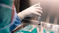 Bien qu'il soit tombé en désuétude en Occident, les phages sont utilisés depuis plus d'un siècle.