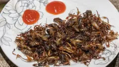 Inyenzi, imfungurwa, PAM, WFP, inzara, amagara, ubuzima, abarimyi, abahinzi, abarozi