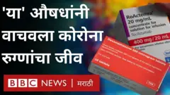 कोरोना व्हायरस, कोव्हिड 19