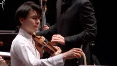 violin