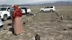 Acınohurda qanunsuz ov