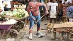 spider