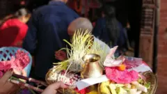 टीका जमरा