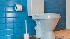 የሽንት ቤት መቀመጫ