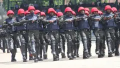Nigeria Police