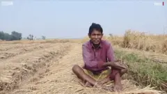 बिहार किसान