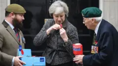"حملة زهرة الخشخاش" Poppy Appeal