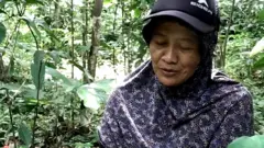 hutan adat wonosadi