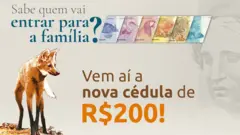 ilustração do lobo-guará e cédulas