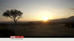 ကင်ညာက သဘာဝနဲ့ ဂေဟစနစ်ကို ထိန်းသိမ်းကြသူတွေ