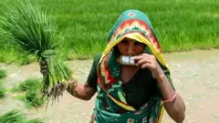 મહિલા