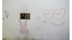 قلوب وفراشات وخربشات الفتاة على الجدران