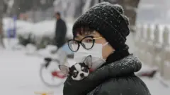 คนกับสุนัข