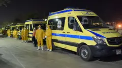 መካይን ሕክምና