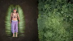 Da série Seeds of Resistance