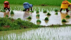 விவசாயிகள்