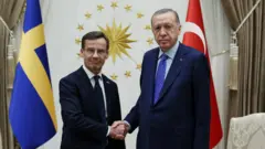 أردوغان وكريسترسون