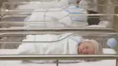 Bebês em maternidade