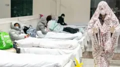وهان چارواکو د ګڼ شمېر ناروغانو درملنې لپاره په روغتونونو کې اضافي بسترونه لګولي دي.