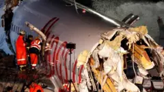 The plane after skidding off the runway