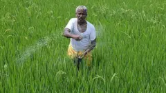 शेतकरी
