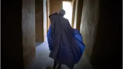 الإمام ألفا بن السيوطي