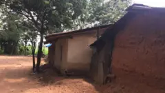 Ụlọ aja na Gabon Community