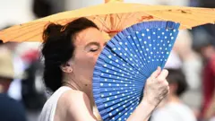 A woman uses a fan to cool down as the faithful wait for Pope Francis' Angelus prayer, amid rising temperatures, at Saint Peter's Square, Vatican City, 23 July 2023.
