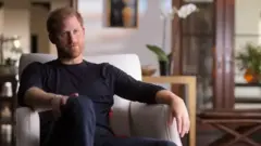 الأمير هاري