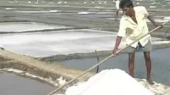 ਨਮਕ ਕਿਵੇਂ ਬਣਦਾ ਹੈ