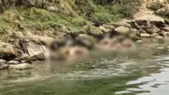 बिहार, उत्तर प्रदेश, कोरोना