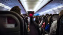 प्रातिनिधिक छायाचित्र