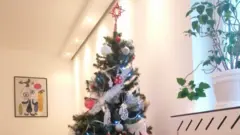 novogodišnja jelka