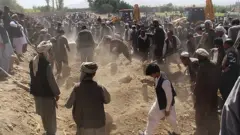 ولس