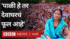 वारी आणि पाळी