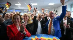 izbori u EU, EU izbori, AfD, nemačka