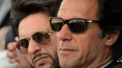 شاہد آفریدی