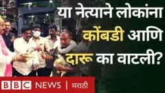 कोंबडी