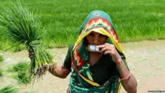 ਪਰਵਾਸੀ ਮਜ਼ਦੂਰ