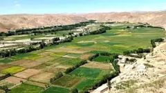 افغانستان