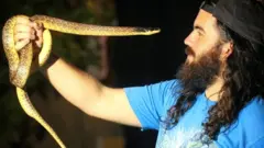 رامي