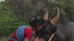 ஜல்லிக்கட்டு காளை வளர்க்கும் 17 வயது இளம் தமிழ்ப் பெண்